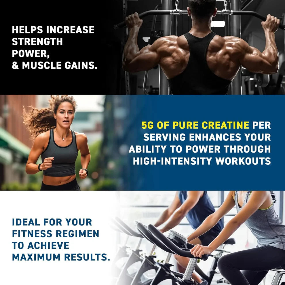 Applied Nutrition Professional Creatine Monohydrate Micronized | Unflavoured | Informed Sport Batch Tested