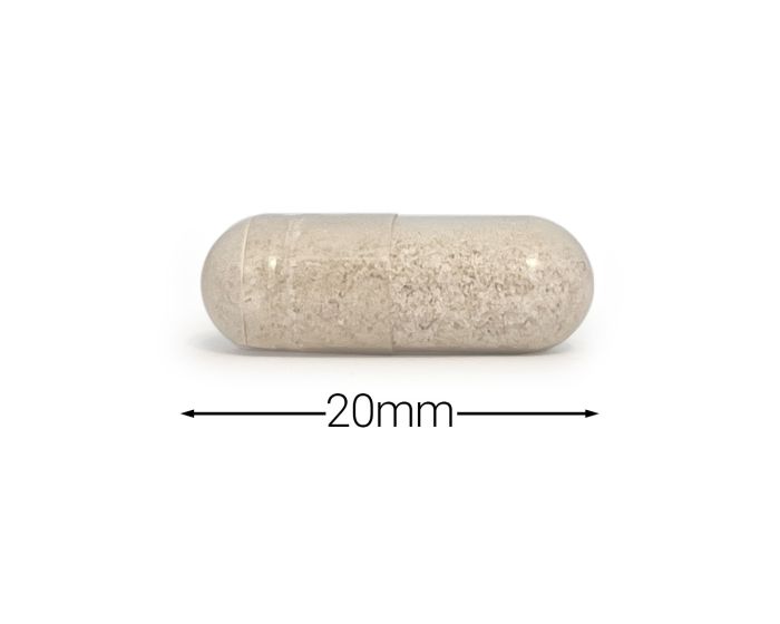 Cytoplan Calm Support 60s