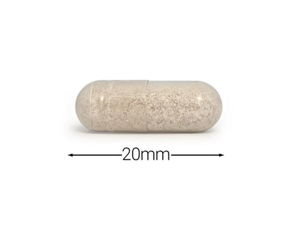 Cytoplan Calm Support 60s