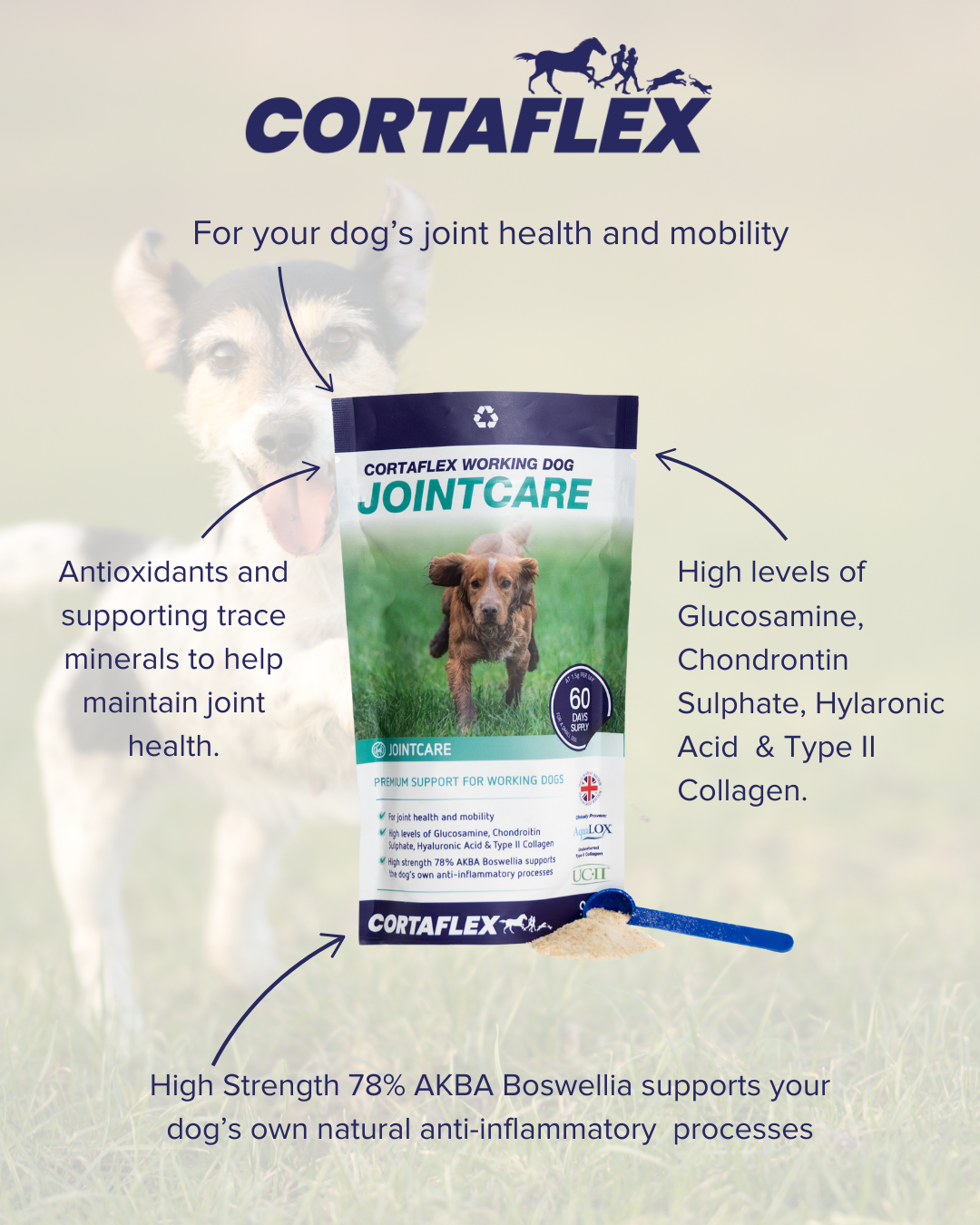 Canine Cortaflex® Working Dog Jointcare