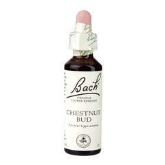 Bach Flower Remedies Chestnut Bud 20ml